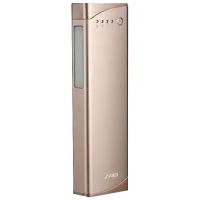 Power Bank F&D Lunar P2 10400 mAh/ Gold