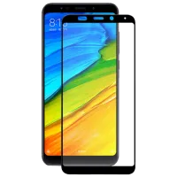 Защитное стекло General Mobile 5 Plus Screen Geeks / 