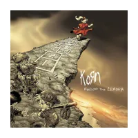 Грампластинка Альбом Follow The Leader 1998/ Nu Metal/ Korn