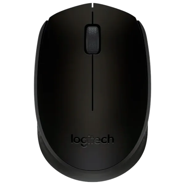 Mouse Logitech M171 USB/ Black photo 1