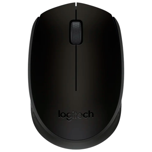 Mouse Logitech M171 USB/ Black photo 1