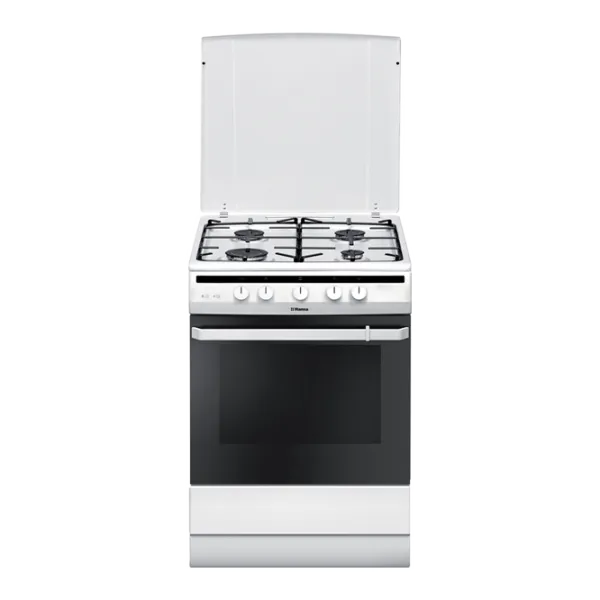 Плита Hansa FCGW61001 Газовая/ Белый photo 1