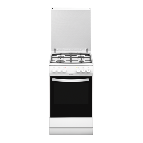 Aragaz Hansa FCMW58097 Combinată/ White photo 1