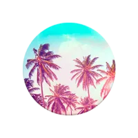 COMBO PopSocket & PopClip palm Trees Разноцветный