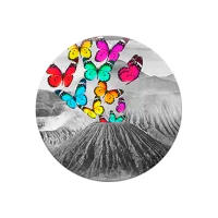 COMBO PopSocket & PopClip butterfly volcano Серый