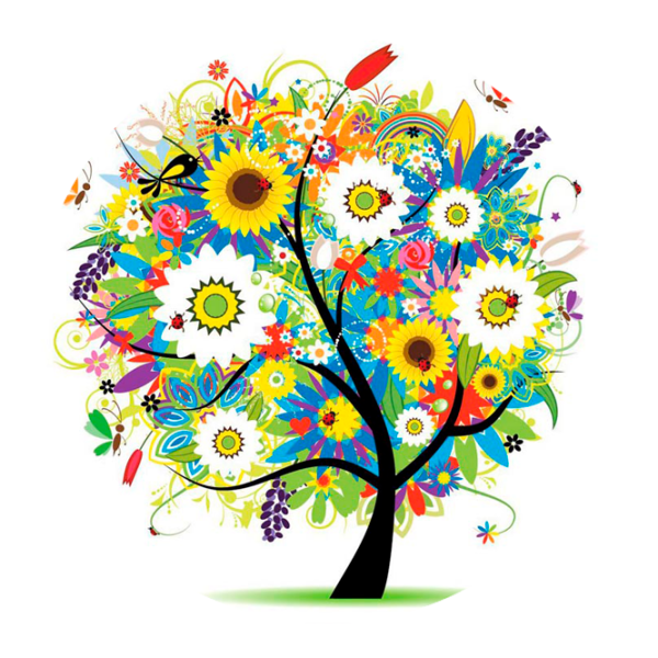 COMBO PopSocket & PopClip S1 Зелёный photo 1