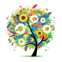 COMBO PopSocket & PopClip S1 Зелёный