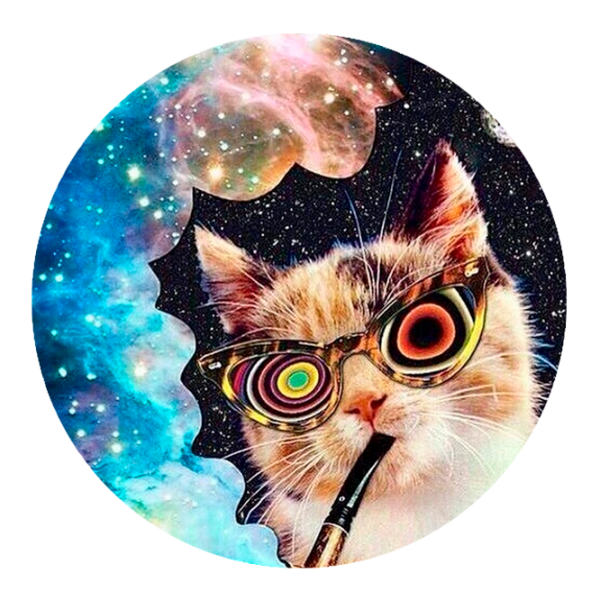 COMBO PopSocket & PopClip S31 Оранжевый photo 1