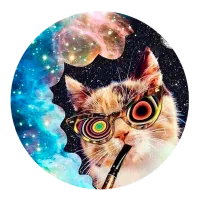 COMBO PopSocket & PopClip S31 Оранжевый