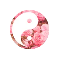 COMBO PopSocket & PopClip S33 Белый