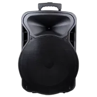 Колонка для вечеринок KVG A18-2 120 W/ Черный