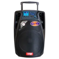 Колонка для вечеринок KVG SL15-02 100 Вт/ Черный