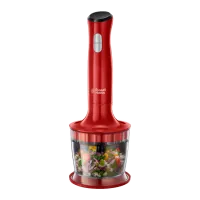 Blender staționar Russell Hobbs 24700-56  / Red