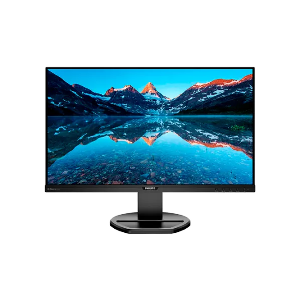 Монитор Philips 252B9 25" Full HD Черный photo 1