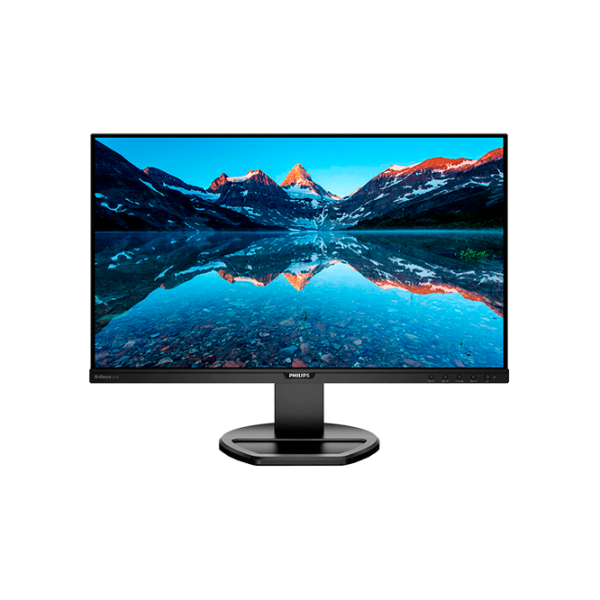 Монитор Philips 252B9 25" Full HD Черный photo 1