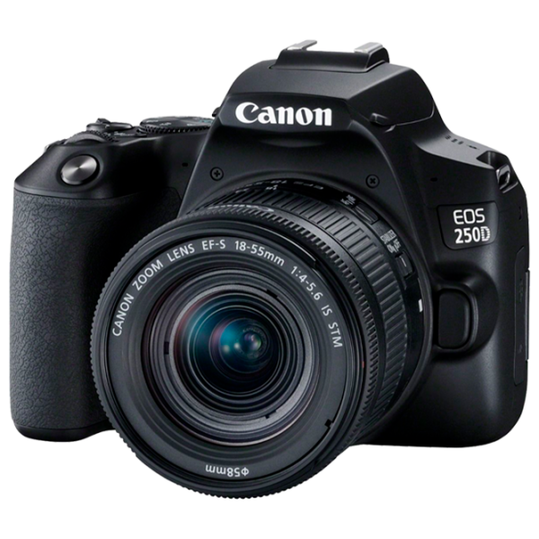 Cameră foto Canon EOS 250D + EF-S 18-55mm F4-5.6 IS STM Kit CMOS/ Black photo 1
