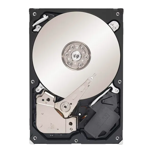 HDD Seagate  1 TB ST31000322CS / Silver photo 1