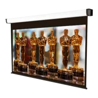 Экран для проектора Sopar 3202PLHT 152 см/ 200 см/ Настенная/ Белый