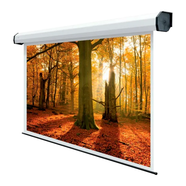 Ecran pentru proiector Sopar 5401HT 300 cm/ 400 cm/ Pe perete/ White photo 1