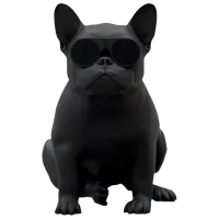 Boxă portabilă Jarre Aerobull XS1 60 W/ Black