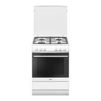 Плита Hansa FCMW68024 Белый