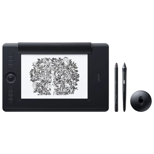 Графический планшет Wacom Intuos Pro Paper M (PTH-660P-R) Черный/ /  photo 1