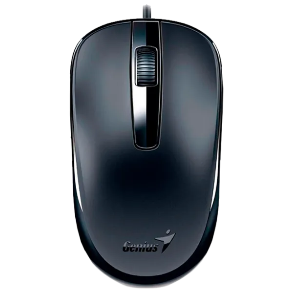 Mouse Genius DX-120 USB/ Black photo 1