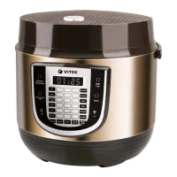Multifierbător Vitek VT-4280BN 5 l/ 860 W/ Inox Brown