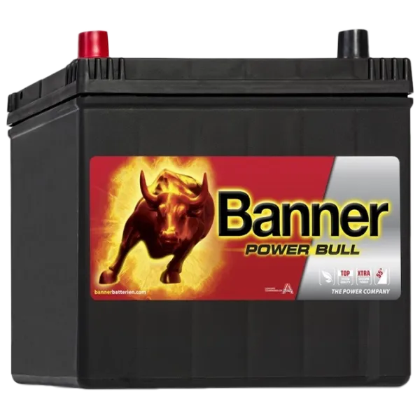 Авто аккумулятор Banner Power Bull P60 69 390A photo 1