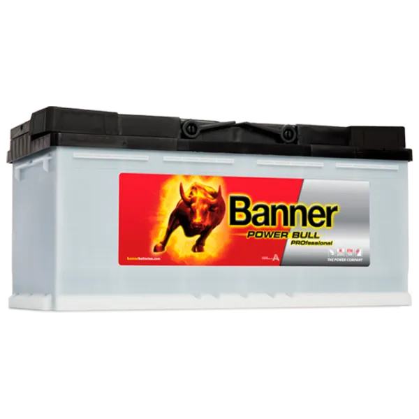Авто аккумулятор Banner Power Bull PROfessional PRO P100 40 800A photo 1