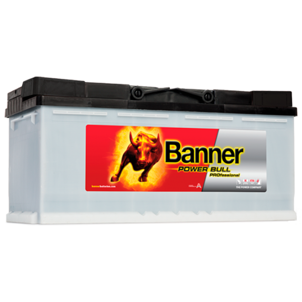 Авто аккумулятор Banner Power Bull PROfessional PRO P100 40 800A photo 1