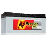 Acumulator auto Banner Power Bull PROfessional PRO P100 40 800A