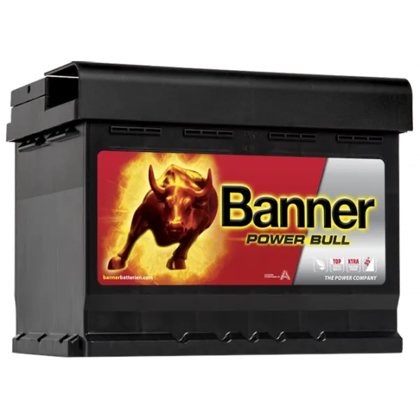 Авто аккумулятор Banner Power Bull P62 19 550A photo 1