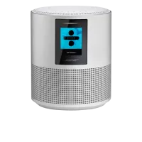 Умная колонка Bose Home Speaker 500 Серый