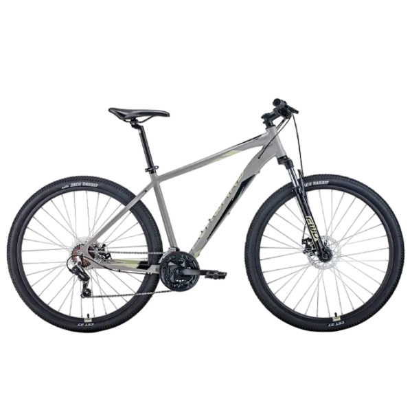 Bicicletă Forward Apache 29" 19" Aluminiu/ Gray White photo 1