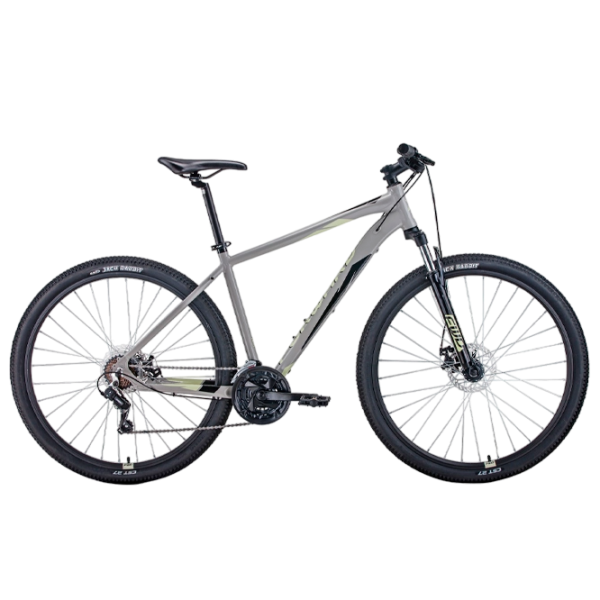Bicicletă Forward Apache 29" 19" Aluminiu/ Gray White photo 1