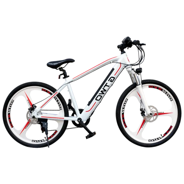 Bicicletă electrică Roadking Cruiser Mountain 26" Munte/ White photo 1 Bicicletă electrică Roadking Cruiser Mountain 26" Munte/ White photo 1