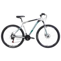 Велосипед Discovery TREK AM DD 21 29 29" 21" Сталь/ Серебристый Черный