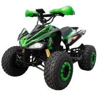 Детский квадроцикл HighPer 004E 85 кг / 3+ / 45 км/ч / Зеленый