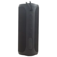 Портативная колонка Xmusic Q18P 25 W/ Черный