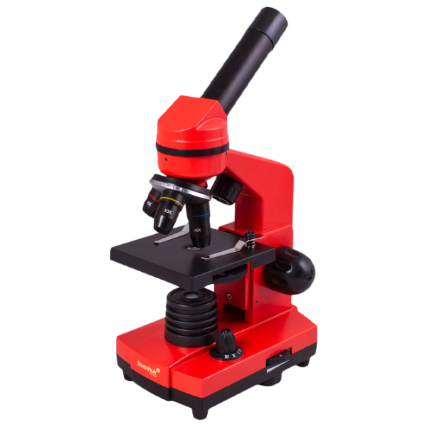 Microscop Levenhuk Rainbow 2L Optic/ Orange photo 1