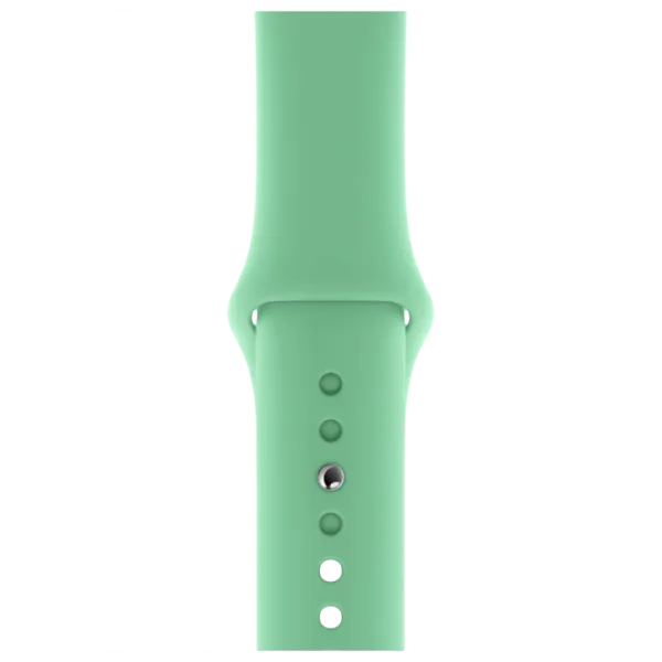 Ремень Apple Watch S/ M & M/ L Steel/ 40 мм/ Мята photo 1 Ремень Apple Watch S/ M & M/ L Steel/ 40 мм/ Мята photo 1