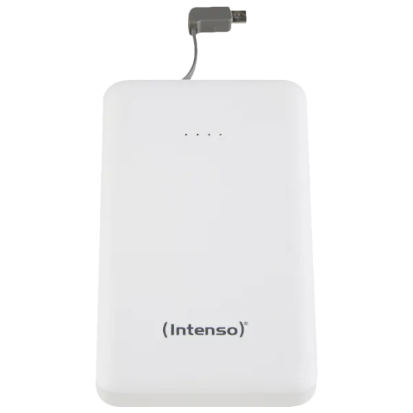 Power Bank Intenso Slim S10000 10000 мАч/ Белый photo 1