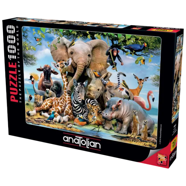 Puzzle 2D Anatolian Africa Smile 12+/ Numărul de piese: 1000 photo 1