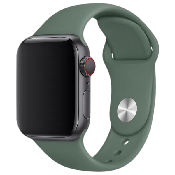 Curelușă Apple Watch S/ M & M/ L Silicon/ 38/ 40 mm/ Green Pine photo 1 Curelușă Apple Watch S/ M & M/ L Silicon/ 38/ 40 mm/ Green Pine photo 1