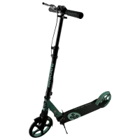 Trotinetă pentru copii cu două roți Kikka Boo Makani Vale (11130) 100 kg/ Green