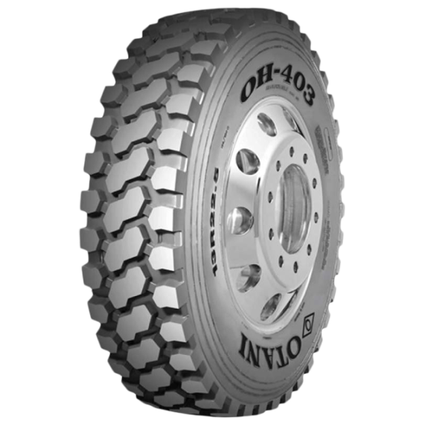 Шины OTANI OH403 13R 225 156/ 150G Всесезонные/ Внедорожник photo 1