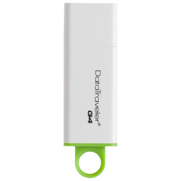 Kingston DataTraveler G4 16 GB White/ Green photo 1