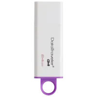 Kingston DataTraveler G4 64 ГБ Белый