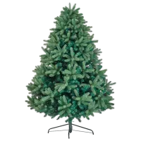 Brad DiviTrees Grand Elite 180cm/ Green